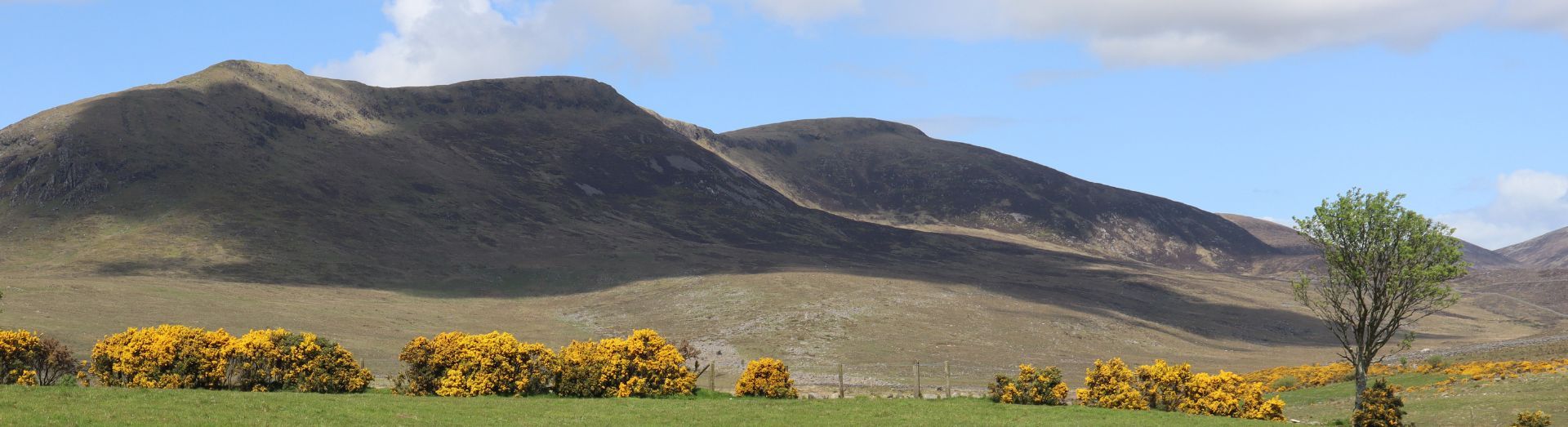 Mournes